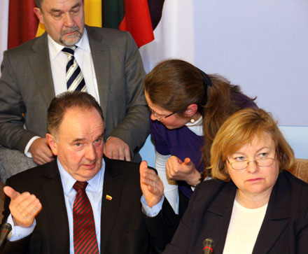 Rauginniene Saulis seimas momisija 20130327