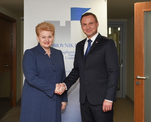 Lietuvos Respublikos Prezidentė Dalia Grybauskaitė susitiko su Lenkijos Prezidentu Andrzejumi Duda. Nuotr. iš lrp.lt 