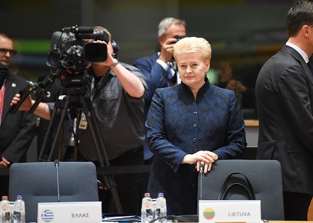 Prezidentė D.Grybauskaitė dalyvauja Europos Vadovų Taryboje. Nuotr. iš lrp.lt