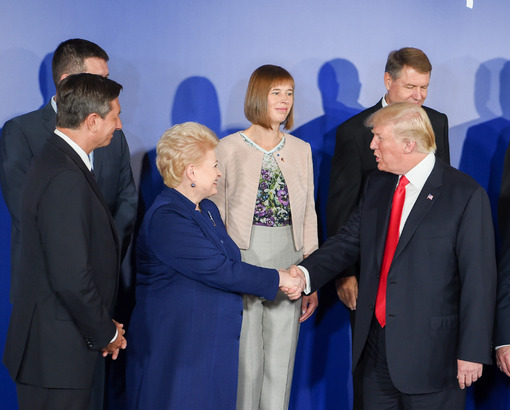 Prezidentė Dalia Grybauskaitė dalyvauja regiono lyderių susitikime su Jungtinių Amerikos Valstijų Prezidentu Donaldu Trumpu. Nuotr. iš lrp.lt