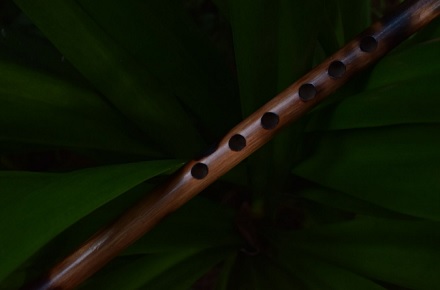 Mokytis groti šia fleita nereikia - tereikia pradėti groti, ir fleita pati išmokys ja groti