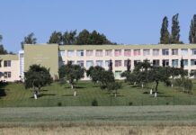 V. Makūnas ragina išsaugoti mažąsias gimnazijas