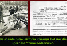 Vilius Kavaliauskas: Ne jie kovojo už laisvę – spaudos ir mūsų