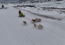 D. Trumpas grenlandų požiūrį į Daniją pakeitė 180 laipsnių