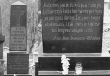 Nepriklausomybė: būsena ar vaidinimas?