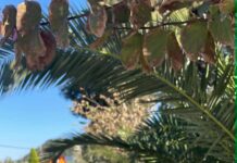 Ar Dievas kantrus, arba kodėl ateistai ieško Dievo nebuvimo įrodymų?