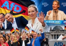 AfD pergalė sugriovė „ugniasienę“: ką dabar darys Europos elitas?