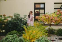Būti priešu pavojinga, būti draugu – mirtina